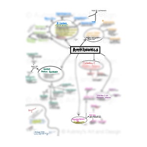 Mapa mental completo de microbiología de antibióticos: notas de la guía de estudio ilustrada PDF