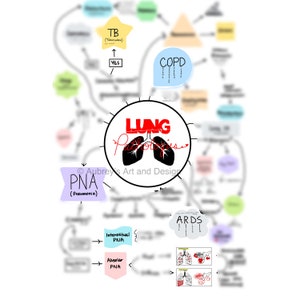 May include: A colorful diagram illustrating different lung pathologies, including tuberculosis, COPD, pneumonia, interstitial pneumonia, alveolar pneumonia, and ARDS. The diagram features a stylized image of lungs with the word "LUNG" in red.