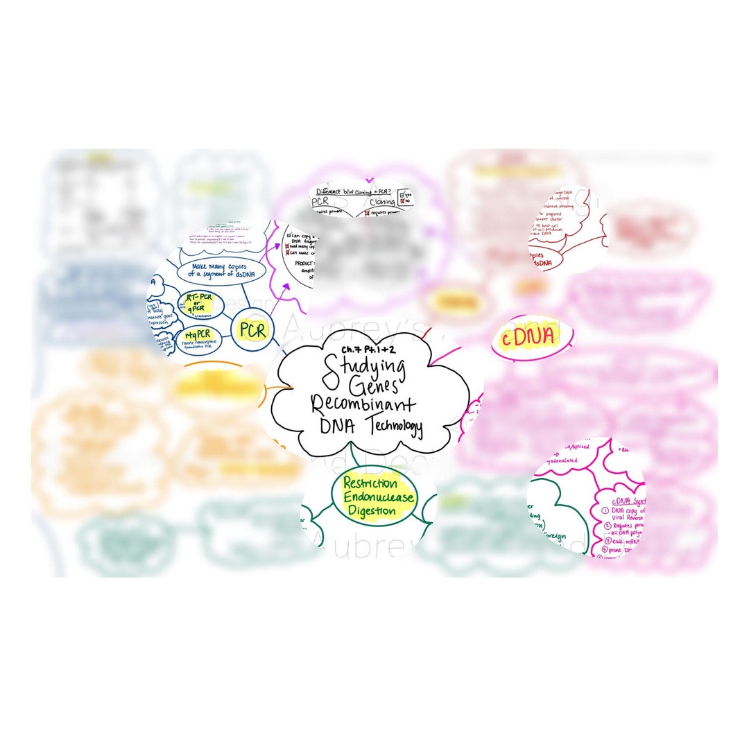 Comprehensive Gene DNA Technology & Molecular Biology Study Notes ...