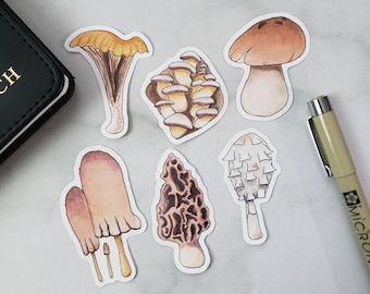 Watercolor and Ink Mushroom Sticker Pack || Journal Stickers