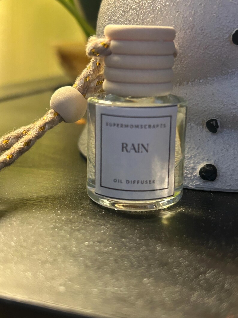 Hanging Car Oil Diffuser - Etsy