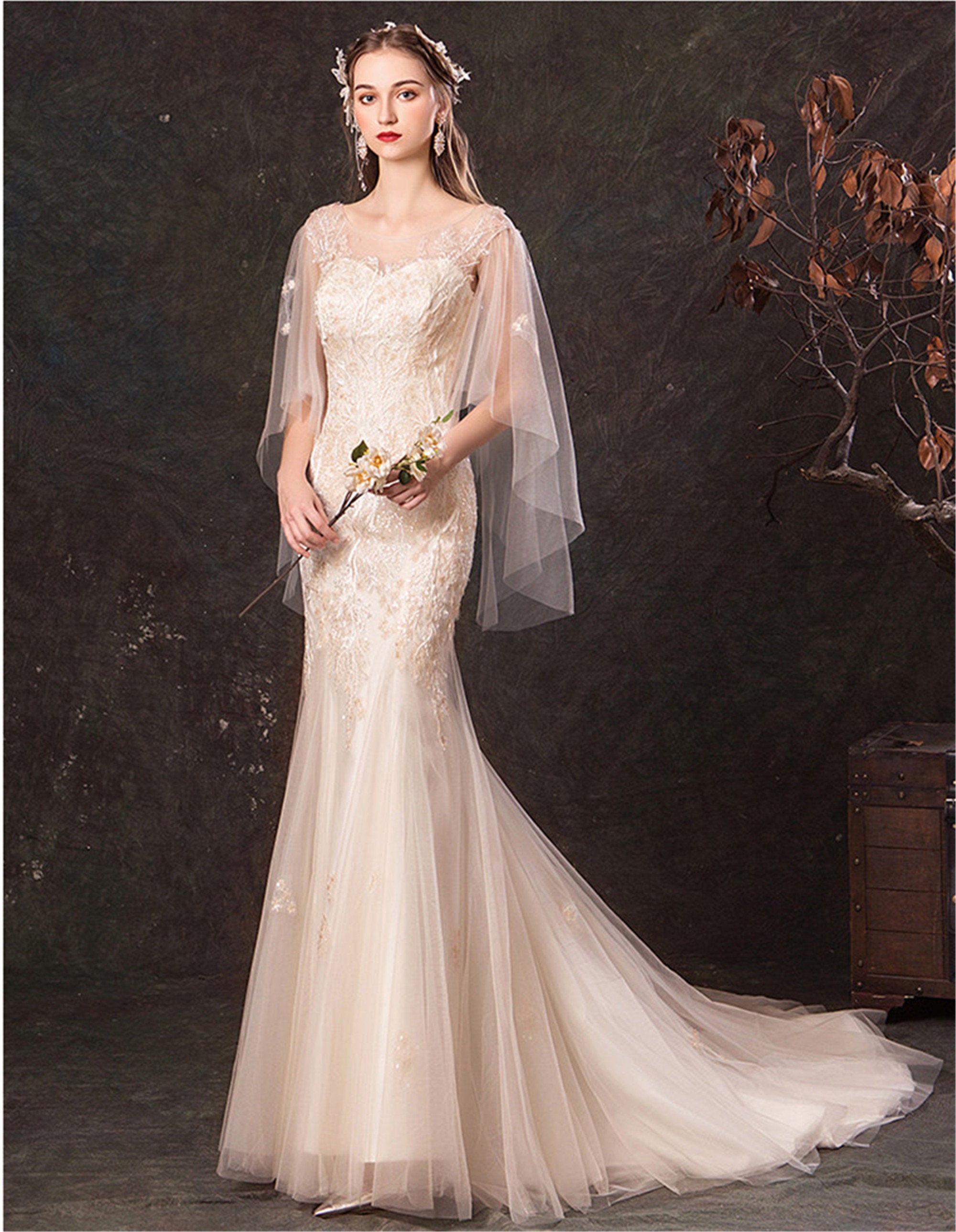 Champagne Mermaid Wedding Dress Elegant Embroidery Bridal Dress Illusion Tulle Sleeves Bridal Mermaid Dress Lace Up Back Wedding Dress Long