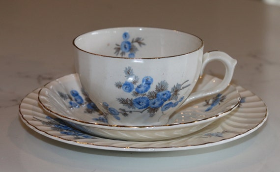 Vintage Burgess and Leigh Blue Blossom Trio Teacup Saucer & Cake 