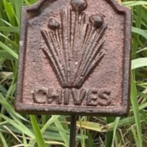 May include: A rectangular, weathered metal garden marker, inscribed with the word "CHIVES". The brown marker displays a stylized chive plant design and is mounted on a thin metal stake, set against a backdrop of green grass.