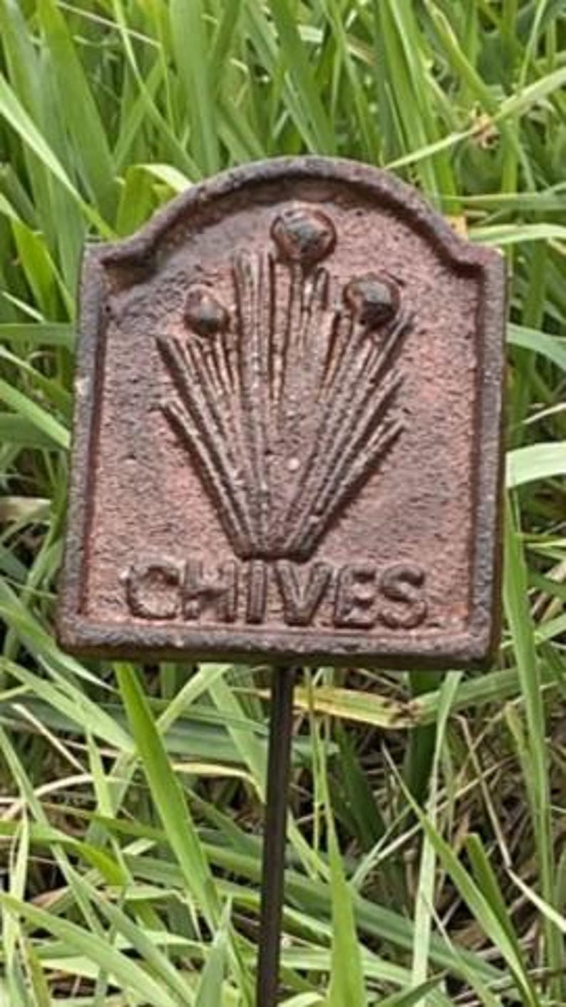 May include: A rectangular, weathered metal garden marker, inscribed with the word "CHIVES". The brown marker displays a stylized chive plant design and is mounted on a thin metal stake, set against a backdrop of green grass.