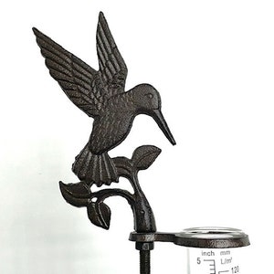 Hummingbird  Rain Gauge