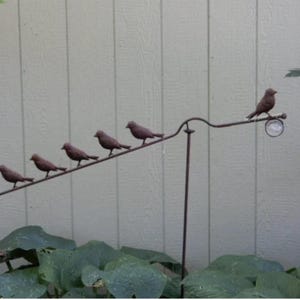 Pájaro de cuerda alta Equilibrio cinético