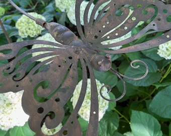 Elegant Butterfly Kinetic Balance