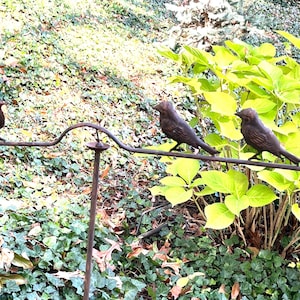 Pu&ograve; includere: Un paletto da giardino decorativo in metallo con quattro figurine di uccelli color bronzo appollaiate su un'asta curva. Il paletto include un piccolo specchio rotondo, il tutto su uno sfondo di verde.