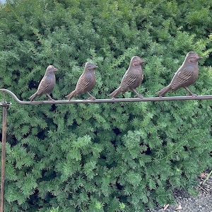 Pu&ograve; includere: Scultura decorativa in metallo raffigurante sette uccelli color bronzo appollaiati su un'asta curva. Gli uccelli sono disposti in fila. Lo sfondo &egrave; costituito da un fogliame verde, un elemento decorativo per il giardino.