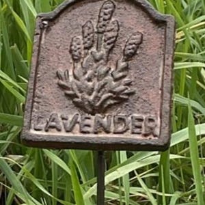 May include: A weathered, brown metal garden stake with a rectangular plaque. The plaque features a raised relief of lavender sprigs and the word "LAVENDER" in capital letters. The stake is set against a backdrop of green grass.