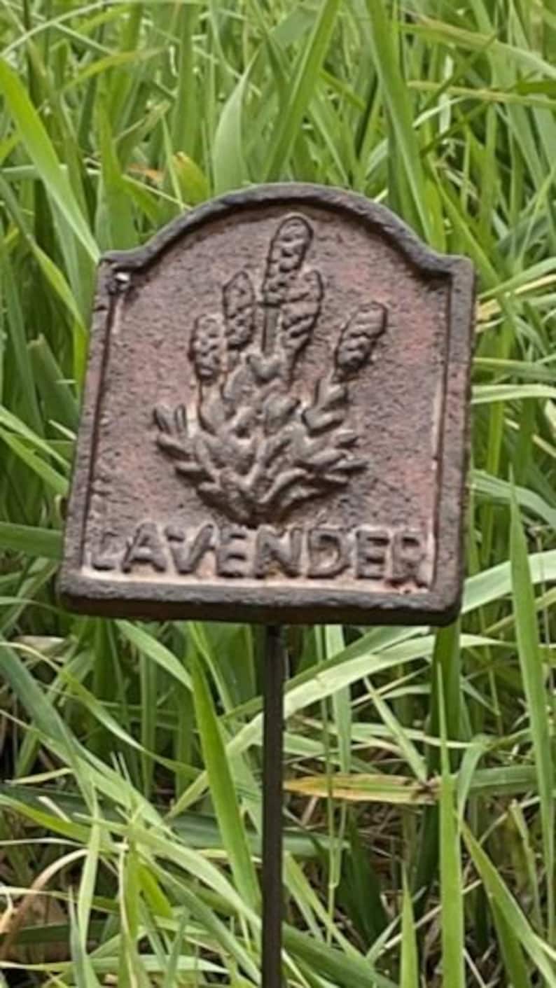 May include: A weathered, brown metal garden stake with a rectangular plaque. The plaque features a raised relief of lavender sprigs and the word "LAVENDER" in capital letters. The stake is set against a backdrop of green grass.