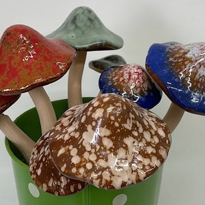 Double Mushroom Set/4