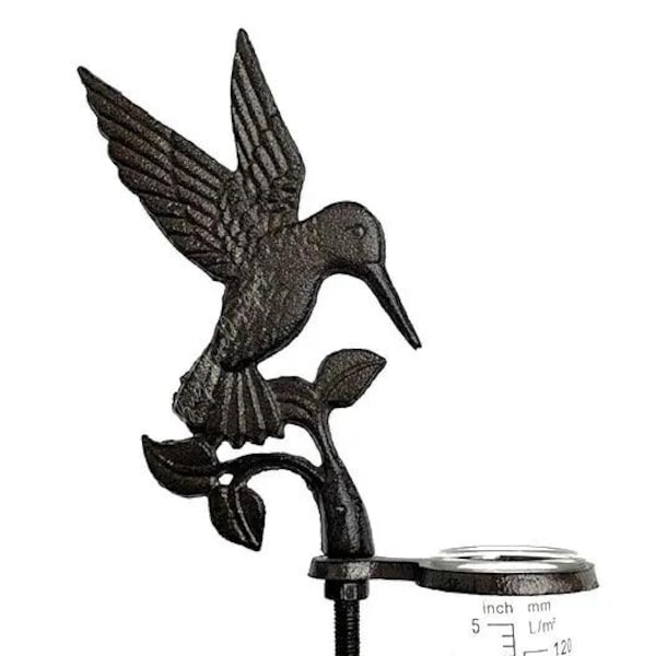 Hummingbird rain gauge