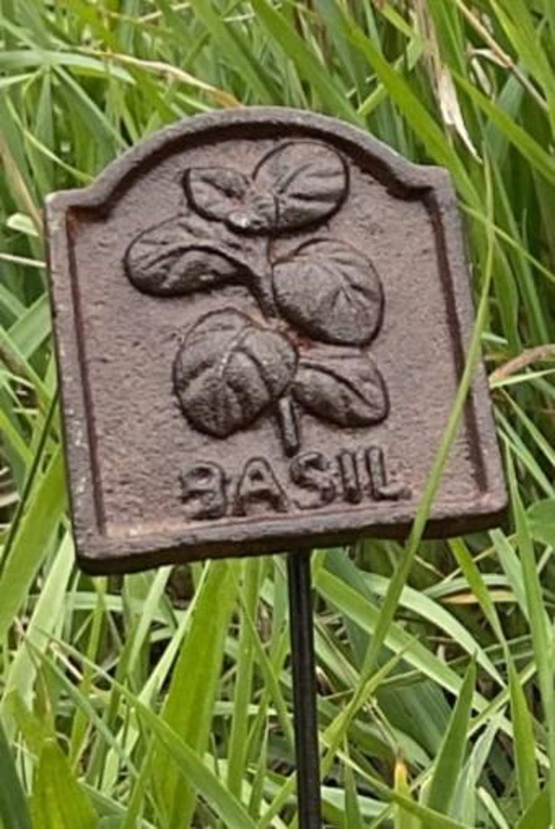 May include: A weathered, brown metal garden marker with the word "BASIL" embossed at the bottom. The marker features a raised illustration of basil leaves and is set on a thin, dark metal stake, perfect for herb gardens.