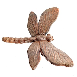 May include: A rusty brown metal dragonfly garden statue with detailed wings and a segmented body.