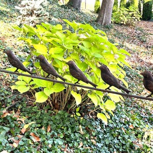 Pu&ograve; includere: Cinque sculture di uccelli color bronzo appollaiate su un filo metallico, sullo sfondo di un vivace fogliame verde e di un ambiente naturale all'aperto. Gli uccelli sono distanziati in modo uniforme, creando un elemento decorativo per il giardino.