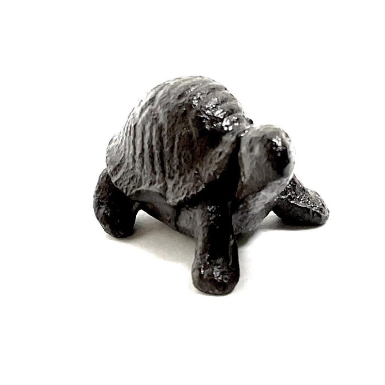 May include: A small, dark brown turtle figurine with a textured shell and detailed legs. The figurine is made of a solid material and is set against a white background. The turtle is a decorative item.