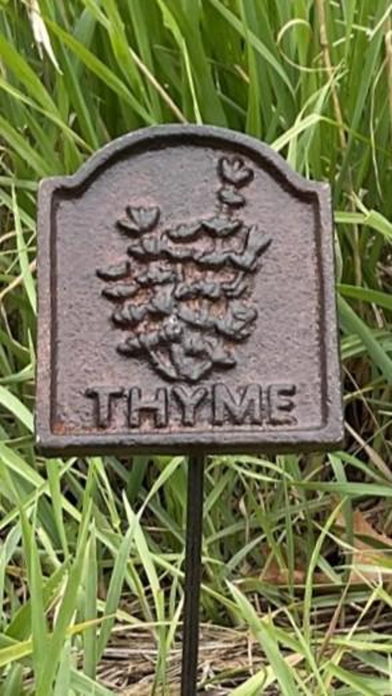 May include: A dark brown metal garden marker, rectangular in shape, with the word "THYME" and a thyme plant illustration. The marker is set in green grass. The marker is likely made of cast iron.