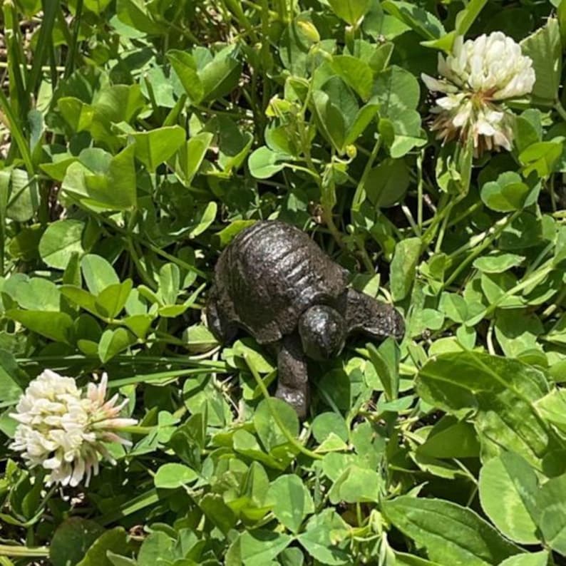 May include: A dark brown metal turtle garden stake is set in a bed of green clover and white clover flowers. The turtle has a textured shell and is positioned as if it is walking through the grass. The stake is a decorative garden accent.