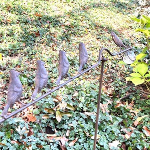 Pu&ograve; includere: Decorazione da giardino in metallo con figurine di uccelli. Gli uccelli sono di colore bronzo e sono appollaiati su una barra orizzontale. L'ornamento &egrave; ambientato su uno sfondo di fogliame verde e edera.