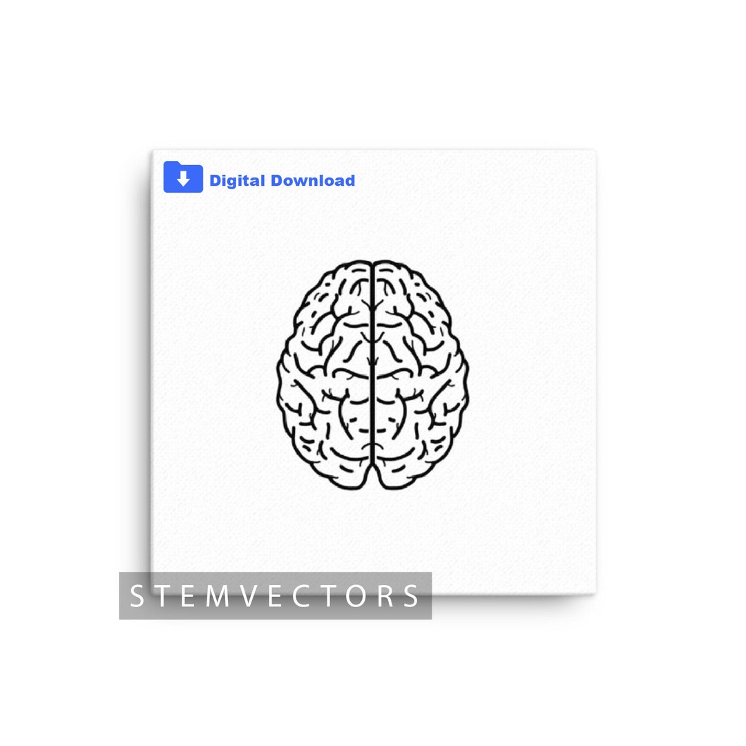 Brain Dxf Detailed Brain (digital Download) Black Vector Clip Art Drawing/sketch ...