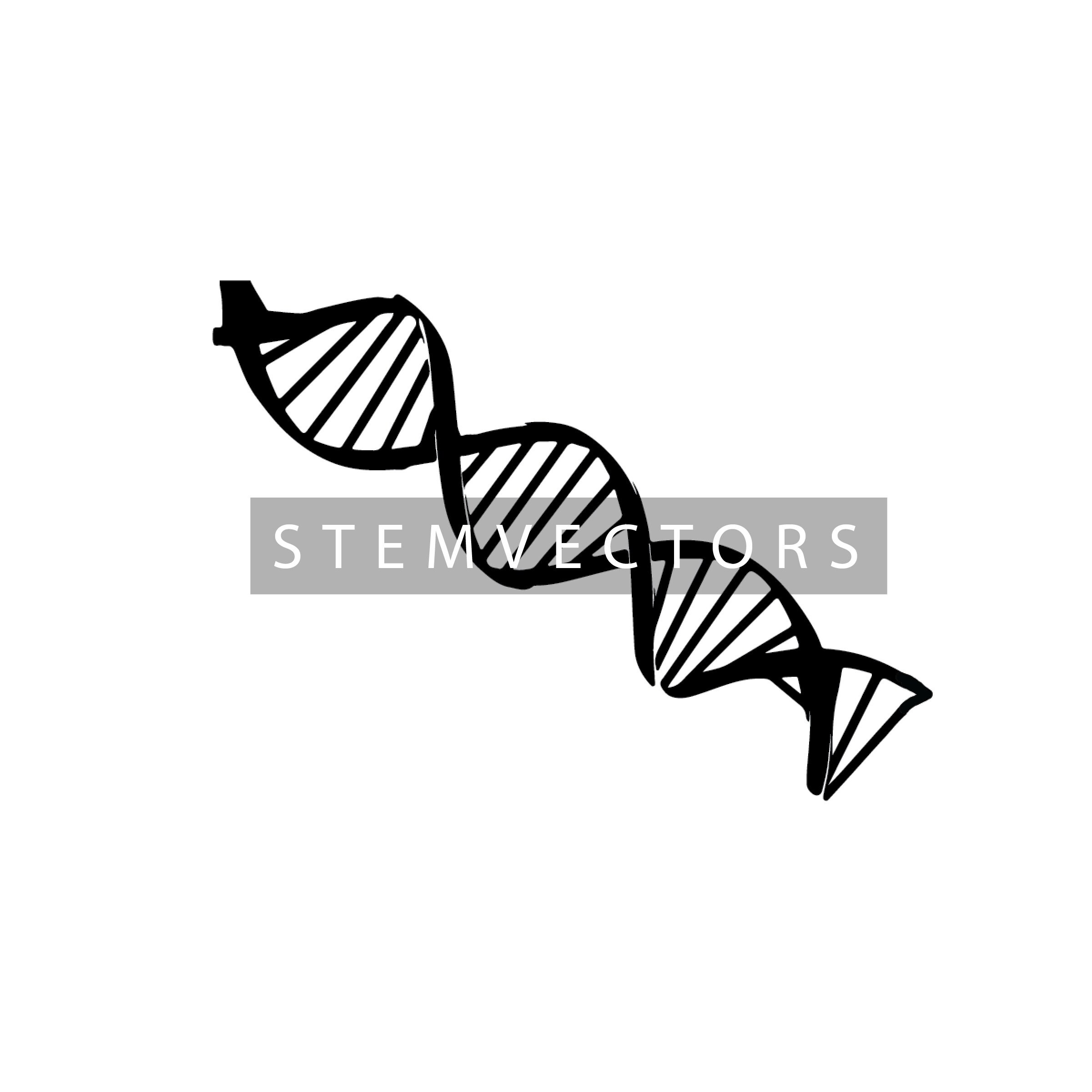 DNA Double Helix Drawing: Black and White Vector Clip Art (digital ...