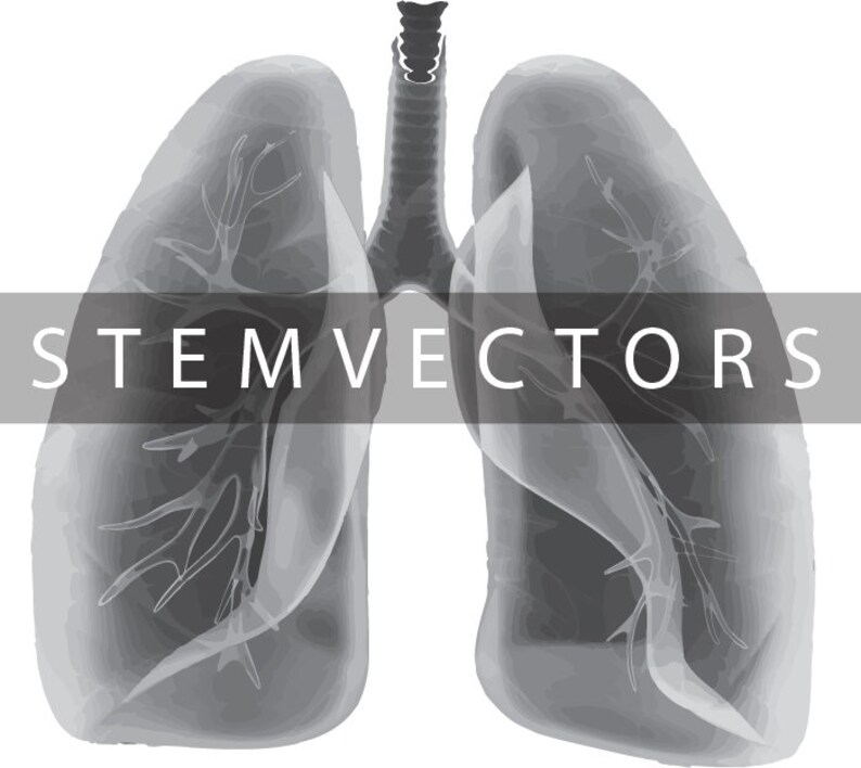 Detailed Gray Lungs digital Download Black and White Vector Clip Art