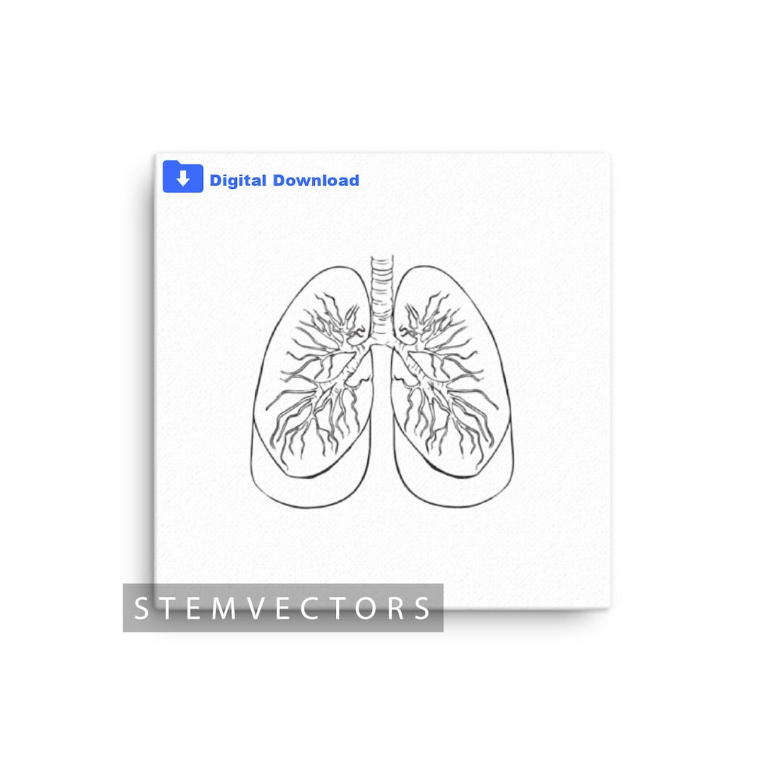 Simple Lungs (digital Download) Black and White Vector Clip Art Drawing ...