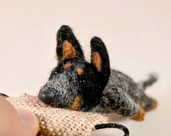 Hanging Tree Cowdog Working Cattle Dog For Sale Hanging Tree