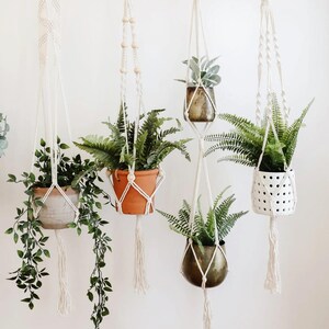 May include: Four macrame plant hangers with different styles and plants. The hangers are made of natural white cotton rope and feature wooden beads. The plants include a fern, a trailing plant, and a succulent.