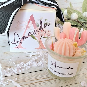 Gift for Sister, Personalized Sister Gift Box, Big Sister Gift, Sister Birthday Gift, Little Sister Gift, Cactus Candle Gift for Sister