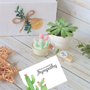 Memorial Gift set - Care Package - Sorry for your Loss - Remembrance Gift - Grief Gift - Heartfelt Condolences - Succulent Gift Box