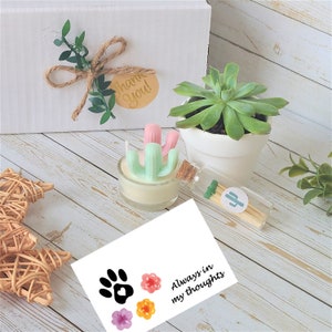 Pet Sympathy Gift, Pet Loss Gift, Custom Pet Sympathy Gift, Pet Memorial, Sympathy gift box,  sorry gift box, live succulent Gift Box