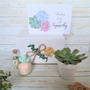 Sympathy Gift Box - Succulent Gift Ideas - Deepest Condolences - Sorry For your Loss - Cheer up gift - Sympathy gift ideas – Encouragement