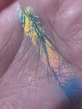 HolyShift (Blue-Green-Pink-Yellow) Extreme Multichrome Eyeshadow