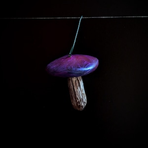 May include: A purple and blue mushroom ornament with a wood stem hanging from a string.
