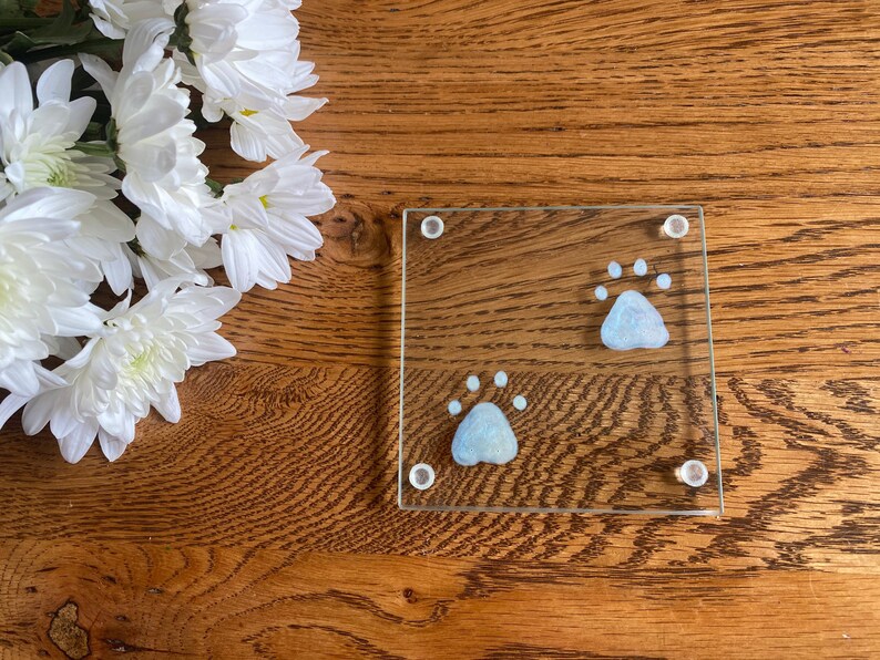 Square Glass Coasters with Hand Painted Paw Print Design image 1