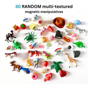 May include: A selection of 30 random, multi-textured magnetic manipulatives. The image shows a variety of small toys, including a car, a camel, a rocket, a strawberry, a giraffe, and a turtle. The text "30 RANDOM multi-textured magnetic manipulatives" is at the top.
