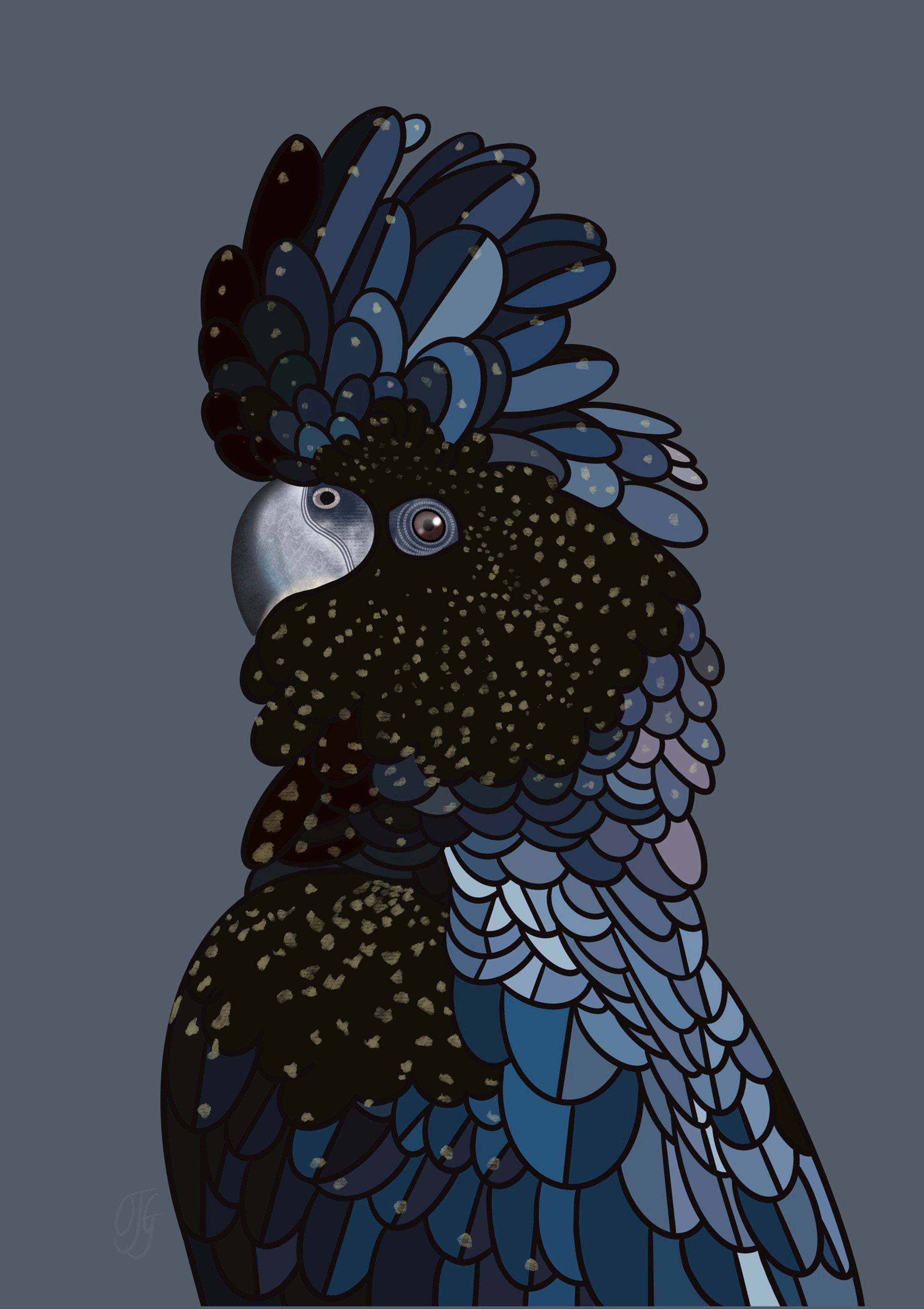 Redtailed Black Cockatoo Fine Art Print Bird Print Etsy