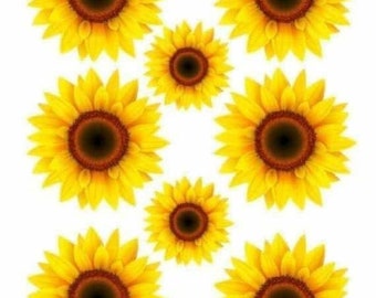 Free Free 185 Sunflower Waterslide Svg Free SVG PNG EPS DXF File