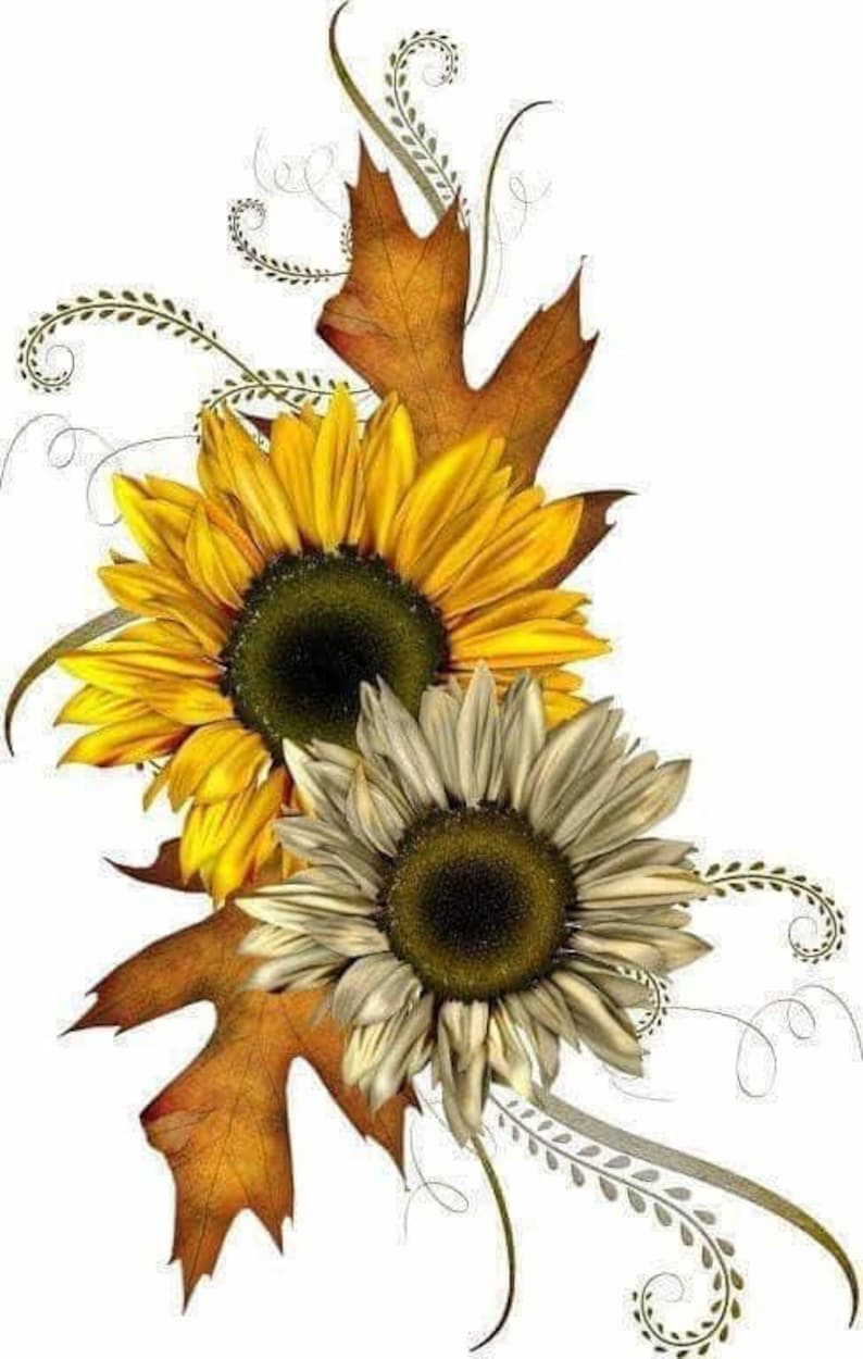 Download Sunflower Waterslides Sunflower Waterslide Decals For ...
