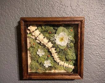 Real Beaver tail Shadowbox with Moss and Faux Floral