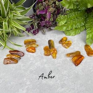 May include: A collection of amber stones of various shapes and sizes, displayed on a light gray surface. The stones are a mix of golden yellow and brown hues. The word "Amber" is written in cursive below the stones.