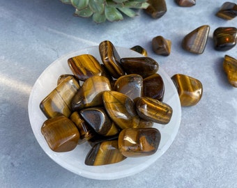 Fukugems Perline Pietra Naturale per bigiotteria Golden Tiger Eyes Stone 6mm Venduto per Bag 5 Fili all' Interno Fukugems Perline Pietra Naturale per bigiotteria Golden Tiger Eyes Stone 6mm Venduto per Bag 5 Fili all' Interno