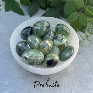 Prehnite Polished Pebbles - Crystals - Tumbled Gemstones - 4 Sizes