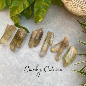 Smoky Citrine - Raw Double Terminated - Natural Crystal - Rough Gemstone
