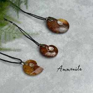 Ammonite Pendant Necklace - Handmade - Sterling Silver & Adjustable Natural Cord
