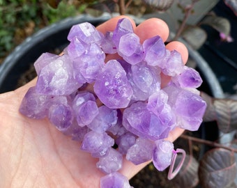 Amethyst Multi Points - Raw Natural Large Crystal Drilled Points