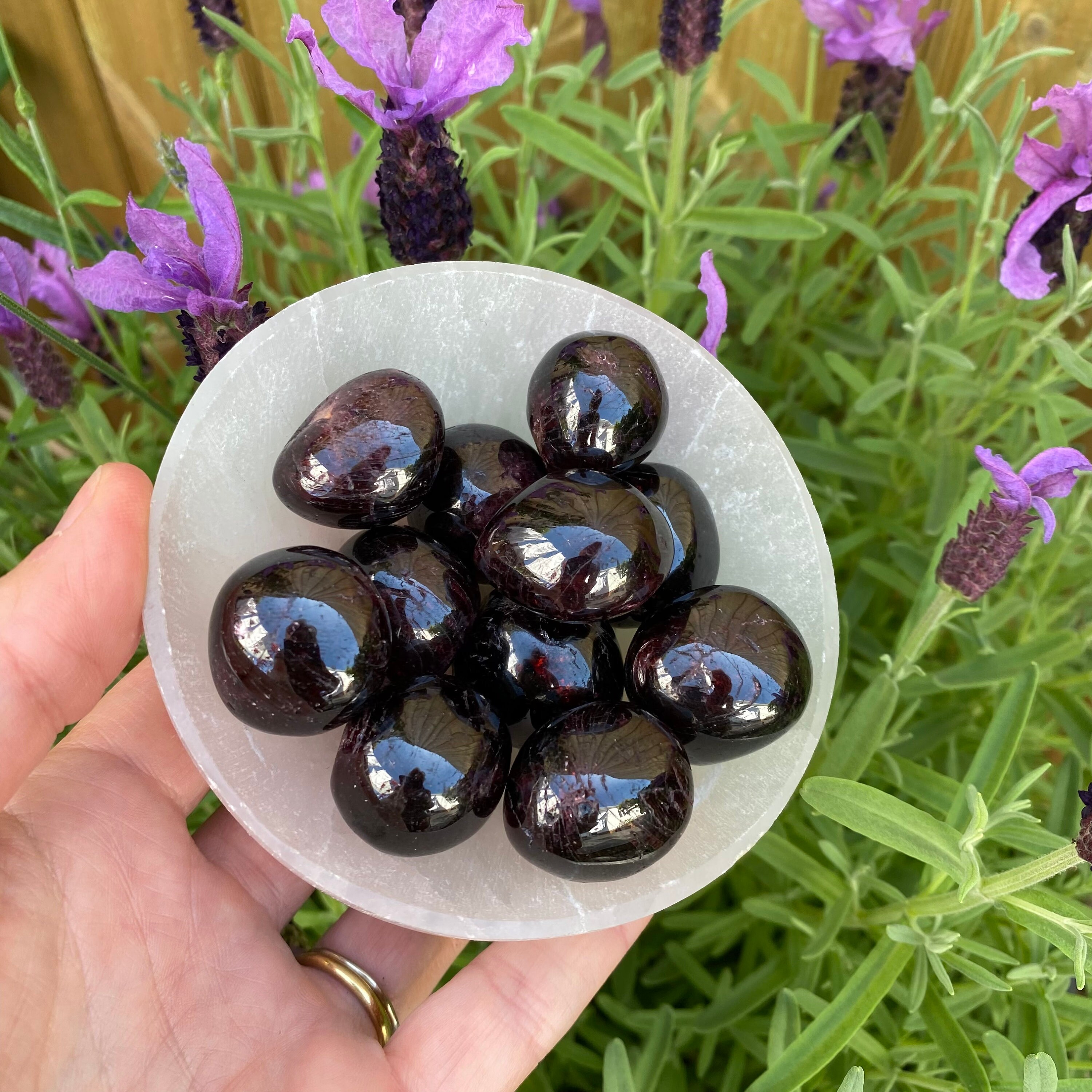 Garnet Tumbled Crystal Tumbled Red Garnet Stone Multiple Sizes Available  Polished Red Garnet Gemstones Red Root Chakra Crystal 